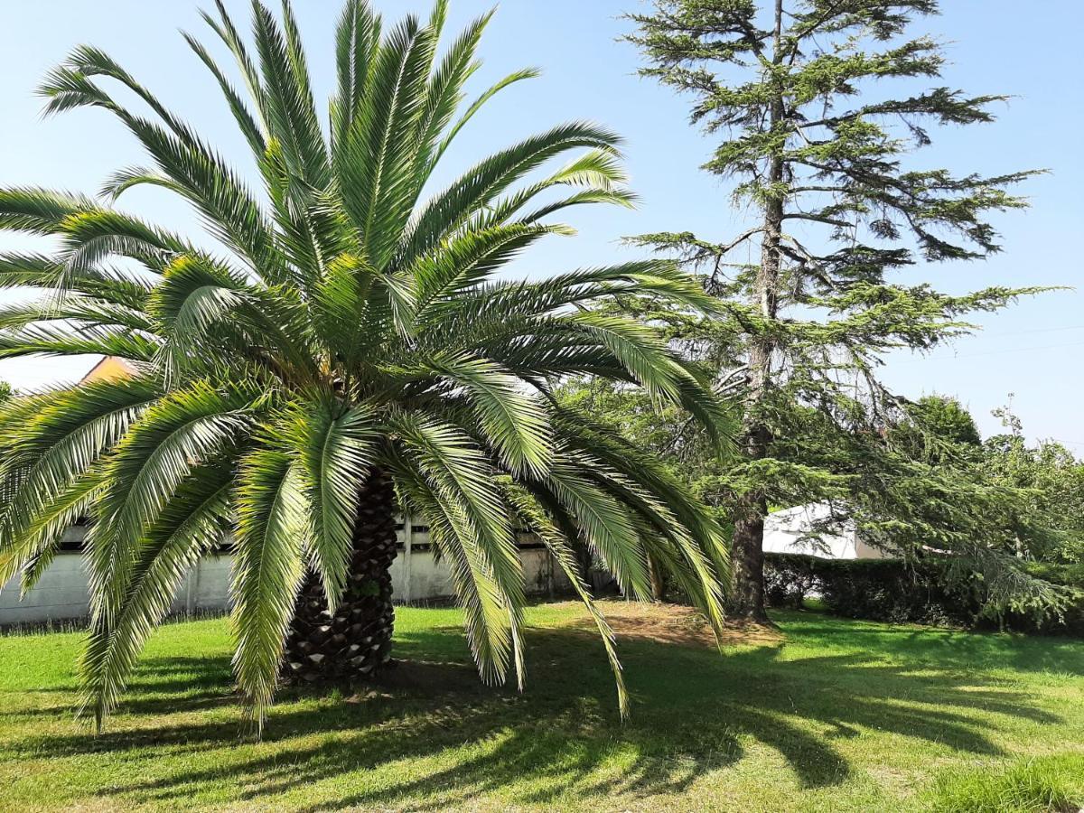 Casa De Verano La Gaviota En Asturias Villaviciosa  Exteriör bild